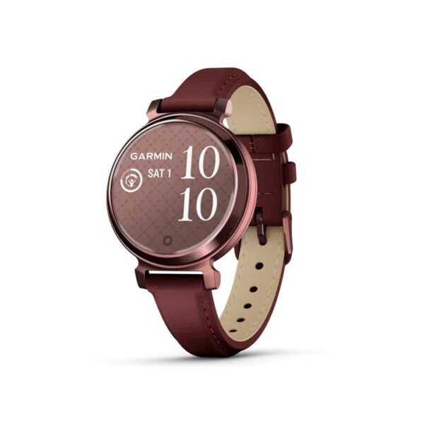 Reloj Inteligente Garmin Lily - Classic Edition