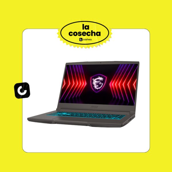 MSI Thin 15 B13VF-2829US